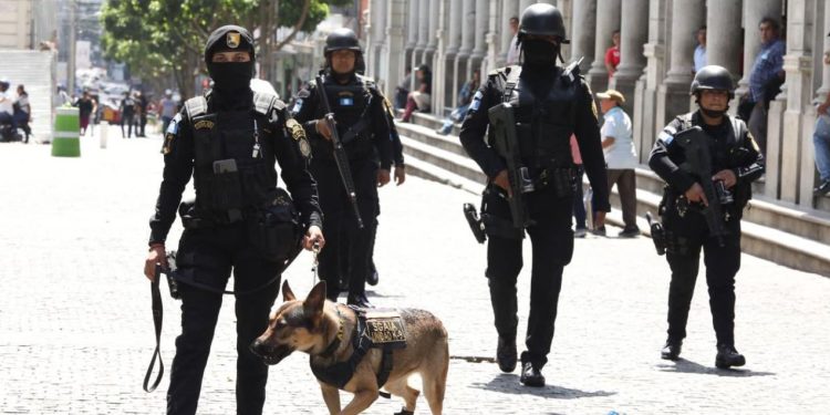 Operativos en Plaza de la Constitución: combate al narcomenudeo con intervención de la SGAIA