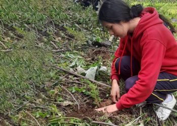 Jornada de reforestación en Santa Lucía Utatlán