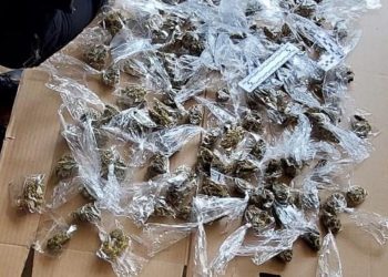 Golpe al narcomenudeo en San Marcos, ocho detenidos en allanamiento