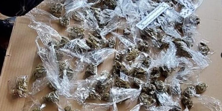 Golpe al narcomenudeo en San Marcos, ocho detenidos en allanamiento