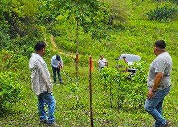 Este proyecto ya está beneficiando a catorce productores y productoras de los municipios de Poptún. / Foto: MAGA.