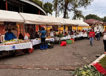 Feria del Agricultor llega esta semana a tres departamentos