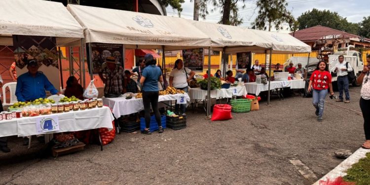 Feria del Agricultor llega esta semana a tres departamentos