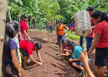 Al capacitar a los agricultores en prácticas agrícolas sostenibles y al facilitar el acceso a insumos agrícolas, se está construyendo un futuro más seguro y próspero. / Foto: MAGA.