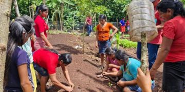 Al capacitar a los agricultores en prácticas agrícolas sostenibles y al facilitar el acceso a insumos agrícolas, se está construyendo un futuro más seguro y próspero. / Foto: MAGA.