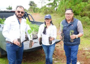 Autoridades de Jalapa abordan la tala ilegal en Miramundo