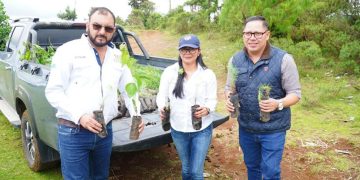 Autoridades de Jalapa abordan la tala ilegal en Miramundo