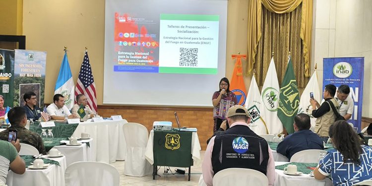 Presentan Estrategia Nacional para la Gestión del Fuego en Guatemala
