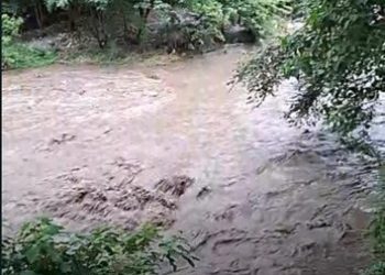 Cinco importantes ríos del país se encuentran por arriba de sus niveles de alerta