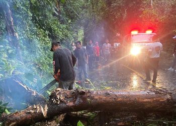 Más de 600 incidentes en carreteras del país por las lluvias. / Foto: Conred.