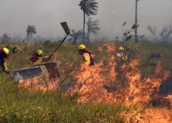 Bolivia enfrenta severos incendios forestales. / Foto: La Razón.