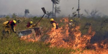 Bolivia enfrenta severos incendios forestales. / Foto: La Razón.