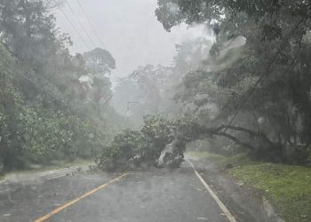 Lluvias provocan inundaciones, caída de árboles y congestionamiento en varias zonas