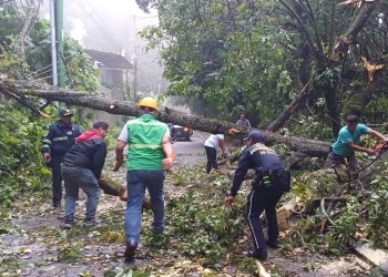 Más de 700 carreteras y 66 puentes afectados en la época de lluvias 2024