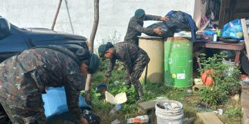 Ejército apoya con acciones preventivas para evitar la propagación del dengue en el país. / Foto: Mindef.