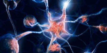 El alzheimer provoca la degeneración lenta del sistema nervioso central. / Foto: Archivo.