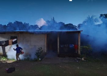 Las autoridades de Salud priorizan la fumigación en viviendas y escuelas para evitar la proliferación del zancudo que transmite el dengue.