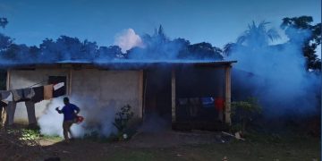 Las autoridades de Salud priorizan la fumigación en viviendas y escuelas para evitar la proliferación del zancudo que transmite el dengue.