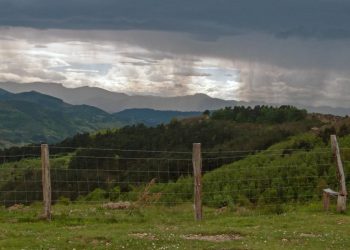 MAGA emite recomendaciones para el cuidado de plantaciones de frijol y maíz por lluvias
