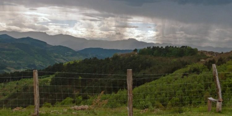 MAGA emite recomendaciones para el cuidado de plantaciones de frijol y maíz por lluvias