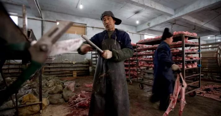 Las granjas peleteras de China son reservorios de virus con alto riesgo de transmisión a humanos.