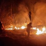 Sudamérica es cada vez más cálida, seca y con más riesgo de incendios