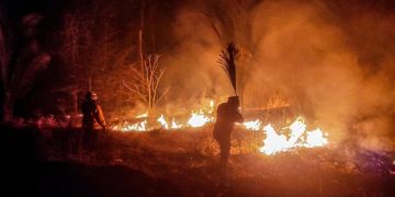 Incendios azotan Sudamérica con consecuencias desastrosas. / Foto: France 24
