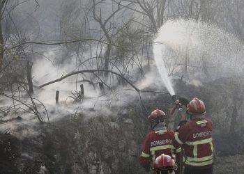 Incendios forestales azotan Portugal. / Foto: EFE.