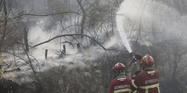 Incendios forestales azotan Portugal. / Foto: EFE.