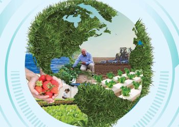 La agricultura sostenible es una forma de combatir la pobreza. / Foto: TEC.