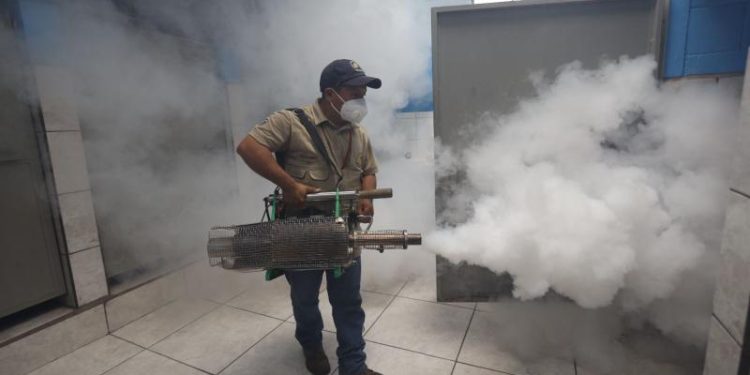 MSPAS reporta 101 mil 552 casos de dengue y pide continuar con acciones preventivas en el país