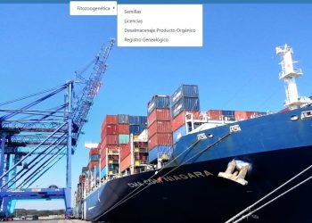 MAGA implementa nuevo sistema tecnológico para agilizar trámite de desalmacenaje. / Foto: MAGA.