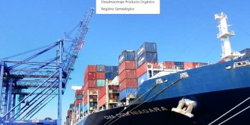 MAGA implementa nuevo sistema tecnológico para agilizar trámite de desalmacenaje. / Foto: MAGA.