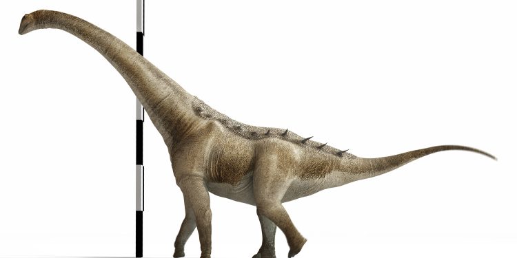 Identifican un nuevo titanosaurio en España