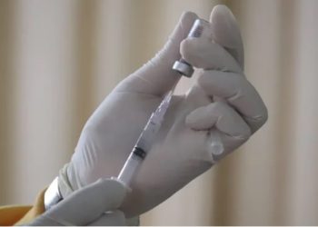 Una vacuna en fase de ensayo mostró ser eficaz para reducir los fuerza de la viruela símica (mpox) en un ensayo con simios.