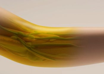 Vuelven transparentes los tejidos en ratones. La ilustración muestra cómo se vería bajo la piel humana.