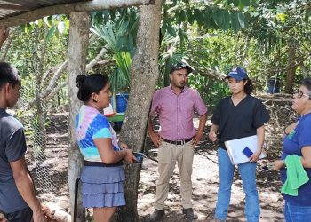 Vecinos de Petén reciben asistencia técnica y pecuaria. / Foto: MAGA.