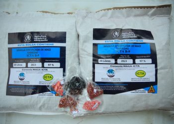 Entrega de semillas a agricultores y productores como parte de la estrategia de Mano a Mano. / Foto: MAGA.