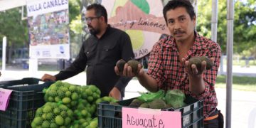 Agricultores ofrecen productos de la mejor calidad en la Feria del Agricultor. /Foto: Gilber García.