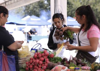 Ocho productos de la canasta básica han presentado reabajas. /Foto: Gilber García.