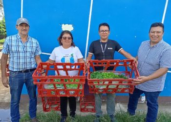 Este proyecto de huertos escolares se enmarca dentro del plan nacional Una nueva siembra para el agro de Guatemala.