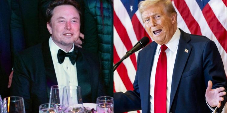 Elon Musk (izquierda) y Donald Trump (derecha). / Foto: EFE.