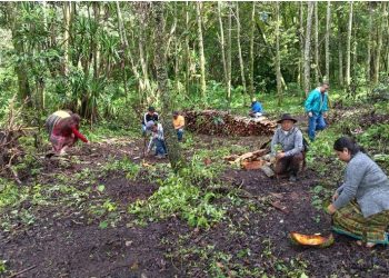 El Visan sigue trabajando para identificar y apoyar proyectos comunitarios que promuevan la seguridad alimentaria. / Foto: MAGA.