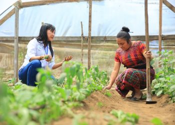 MAGA busca fortalecer el extensionismo rural para optimizar la agricultura. / Foto: MAGA.