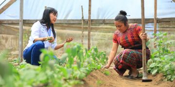 MAGA busca fortalecer el extensionismo rural para optimizar la agricultura. / Foto: MAGA.