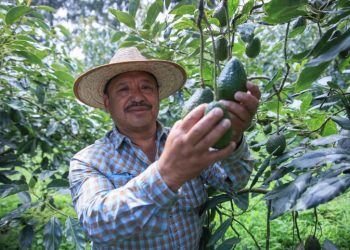 Gracias al apoyo recibido, Zamora ha podido aumentar su producción. / Foto: MAGA.