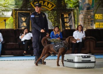 Clausuran curso de detección de fentanilo en Santa Rosa