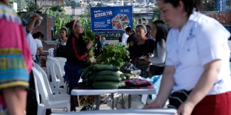 Feria del Agricultor beneficia a familias y productores en tres localidades del país