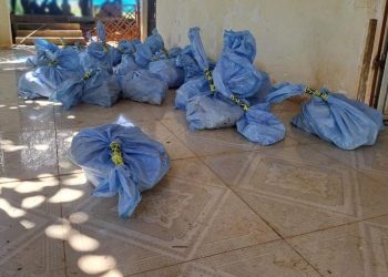 PNC efectúa allanamiento en Izabal por posible extracción ilegal de jade