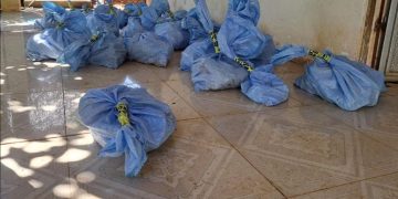 PNC efectúa allanamiento en Izabal por posible extracción ilegal de jade